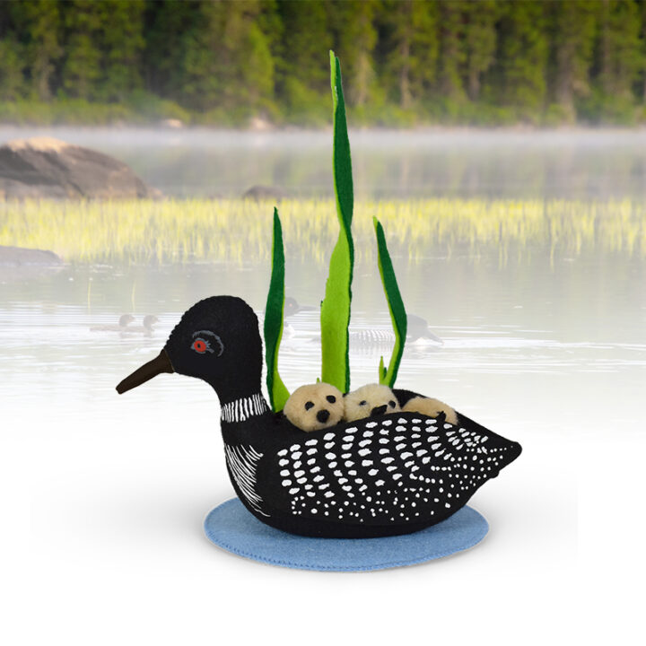 850822-Lakeside Loon-WEB-L